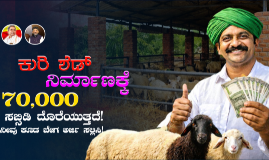 Sheep Shed Subsidy: ನರೇಗಾ ಯೋಜನೆಯಡಿ ಕುರಿ ಶೆಡ್ ನಿರ್ಮಾಣಕ್ಕೆ ₹70,000 ಸಬ್ಸಿಡಿ! ಬೇಗ ಅರ್ಜಿ ಸಲ್ಲಿಸಿ!