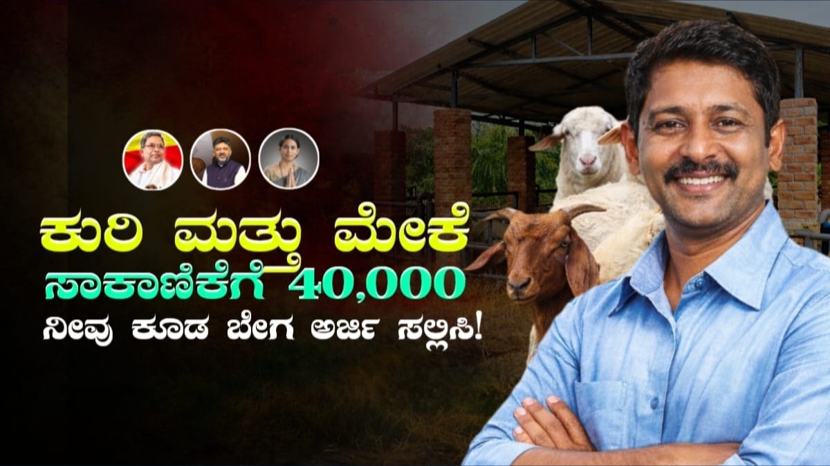 Sheep & Goat Farming Subsidy Karnataka