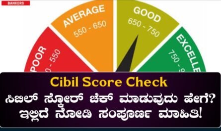 CIBIL Report