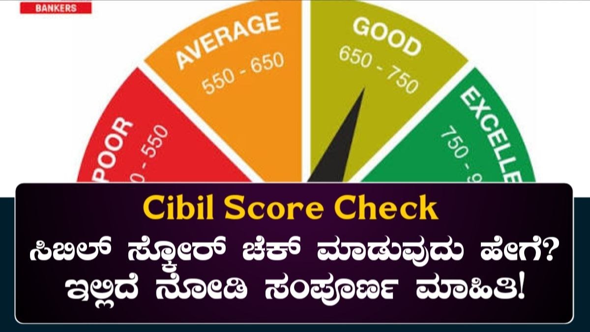 CIBIL Report