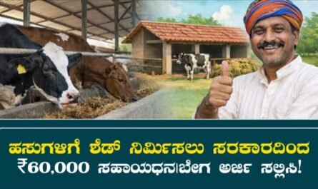 Cow Shed Subsidy