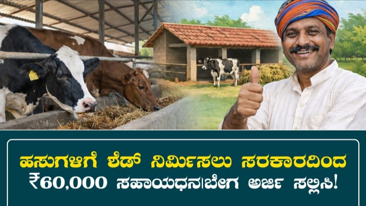 Cow Shed Subsidy