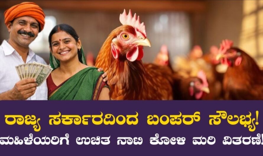 Free Poultry Scheme: ರಾಜ್ಯ ಸರ್ಕಾರದಿಂದ ಬಂಪರ್ ಸೌಲಭ್ಯ! ಮಹಿಳೆಯರಿಗೆ ಉಚಿತ ನಾಟಿ ಕೋಳಿ ಮರಿ