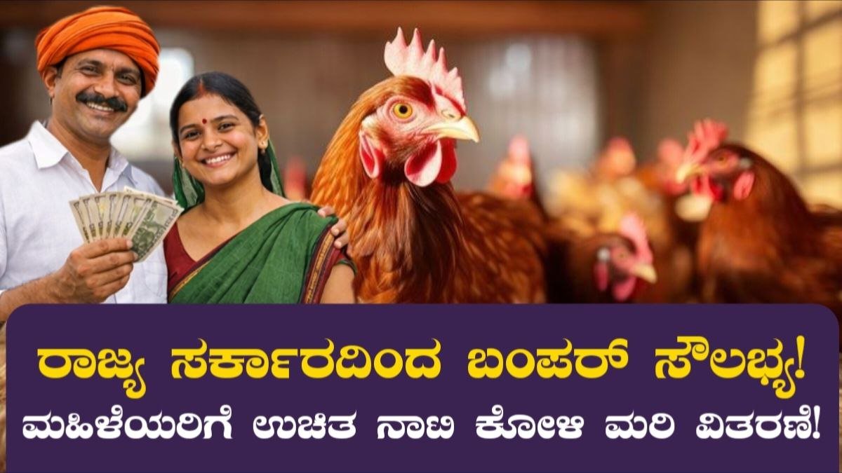 Free Poultry Scheme